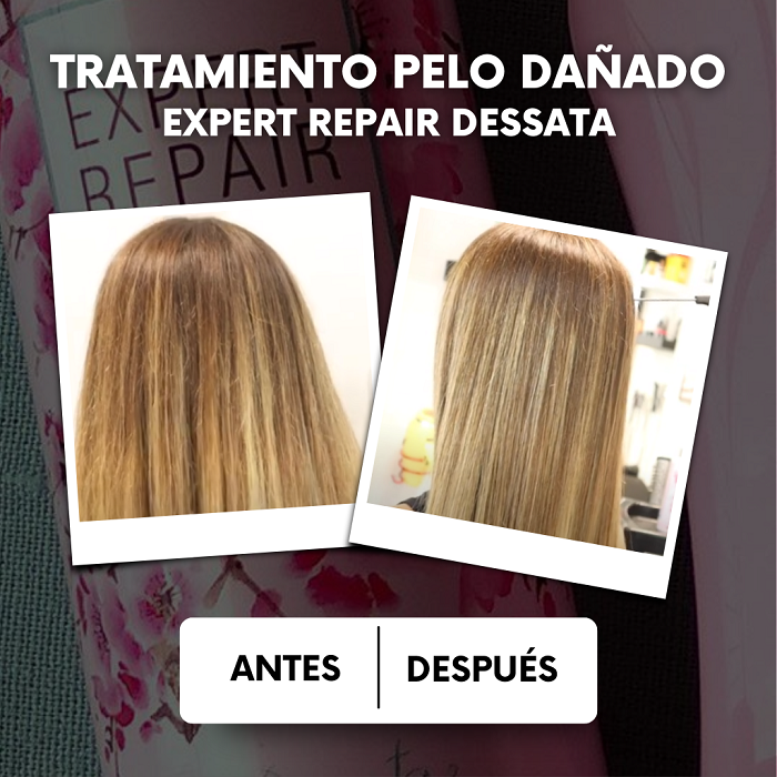 Tratamiento para cabello seco y dañado